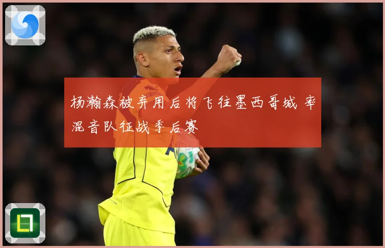 杨瀚森被弃用后将飞往墨西哥城 率混音队征战季后赛