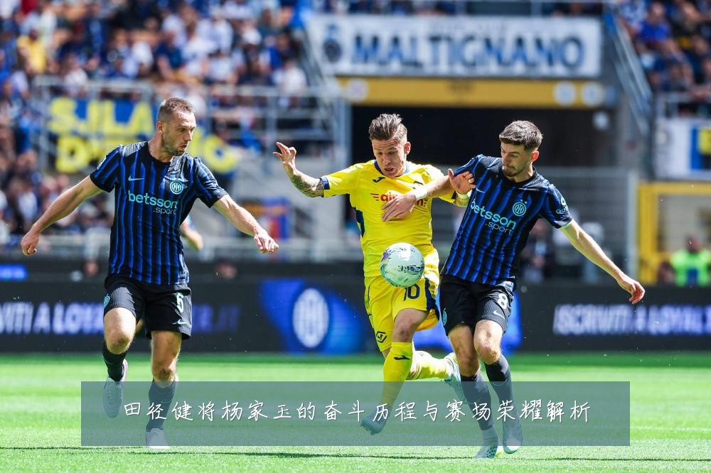 田径健将杨家玉的奋斗历程与赛场荣耀解析