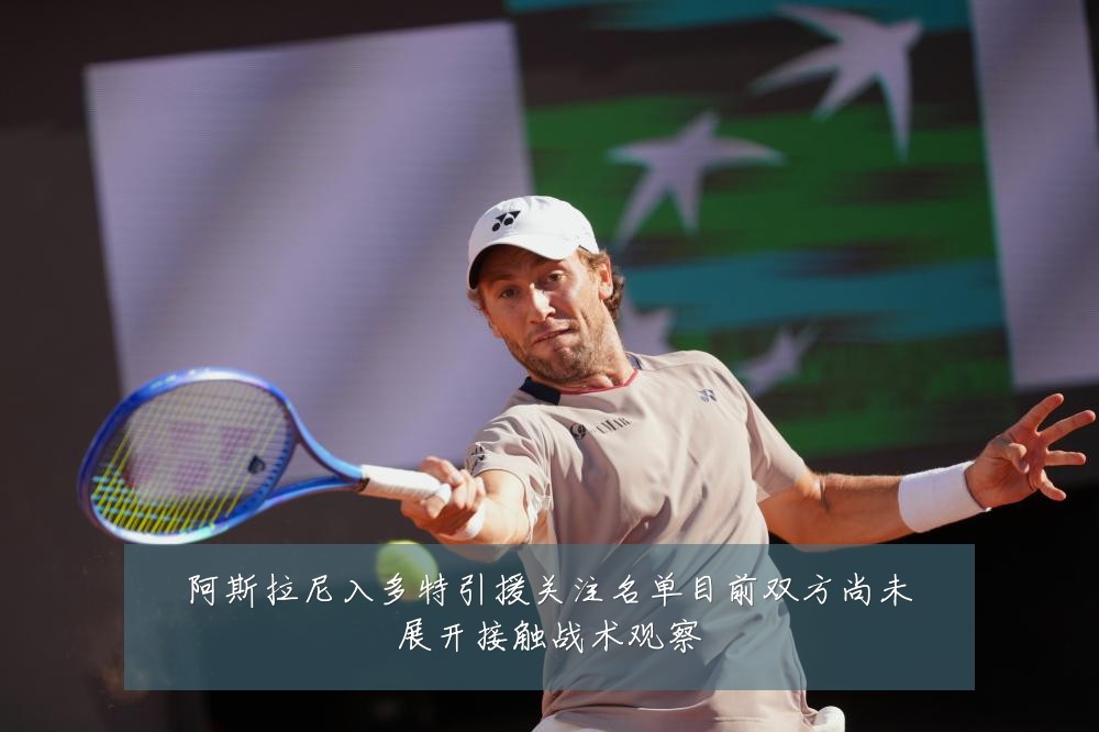 阿斯拉尼入多特引援关注名单目前双方尚未展开接触战术观察